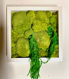 moss art, frame, moss, moss mounds, preserved moss