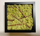 moss art, frame, moss, moss mounds, preserved moss