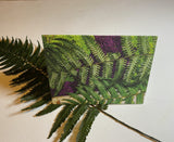 Living Aura Notecard: Ferns, Purple Lichen, Poplar single card