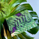 Living Aura Notecard: Ferns, Purple Lichen, Poplar single card